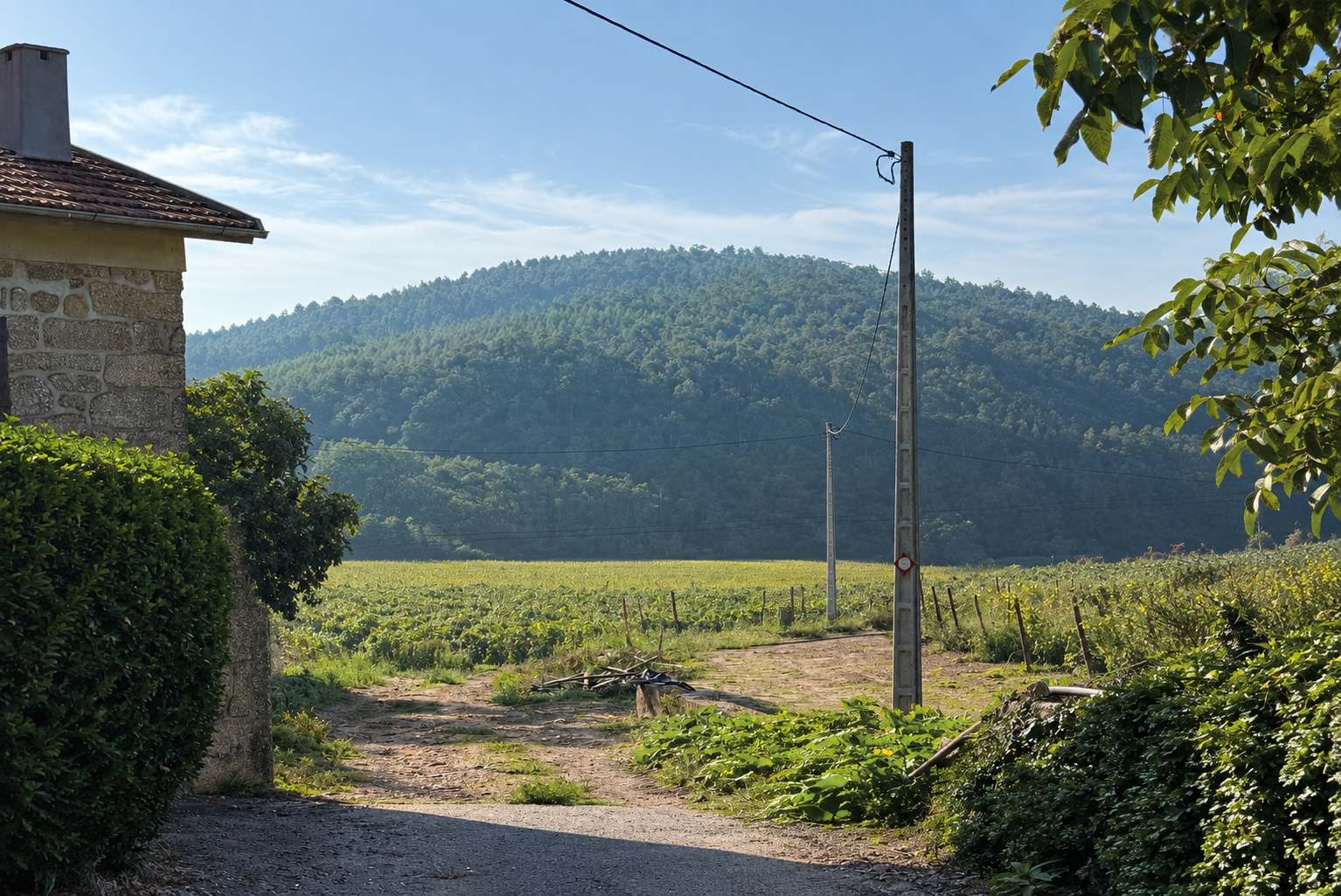 chatgpt image 11 09 2026, 11 57 40